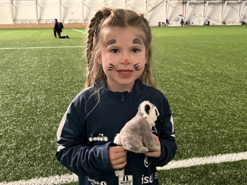 SUPPORTER. Alva (4) var en av mange som fikk ansiktsmaling i Sprint-farger før kampen. SUPPORTER. Alva (4) var en av mange som fikk ansiktsmaling i Sprint-farger før kampen. Foto: Espen Johansen