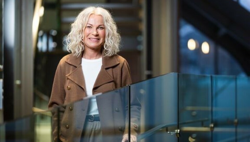Hanne Karoline Kræmer, konsernsjef i SpareBank 1 Nord-Norge.