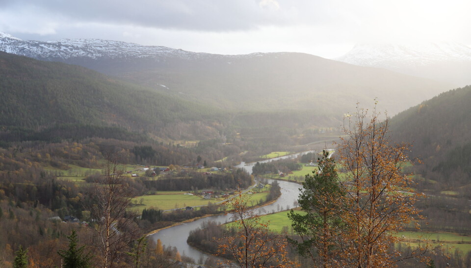 - Gjelder fjelloven på statsgrunn i Nordland og Troms. eller gjør den det ikke? Dette spørsmålet vil ha betydning for både bruk og utnyttelse av rettigheter som beite, jakt, seterdrift, fangst og fiske. Dette er verdier som utgjør en ikke ubetydelig sum for alle statsallmenningene. Illustrasjonsbilde av Beiarn.