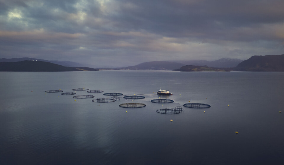 Merdene som rommer laksen ligger slik til at vannet er oksygenrikt, og i kombinasjon med moderne teknologi og flinke arbeidere blir det god kvalitet på fisken og bra for miljøet.