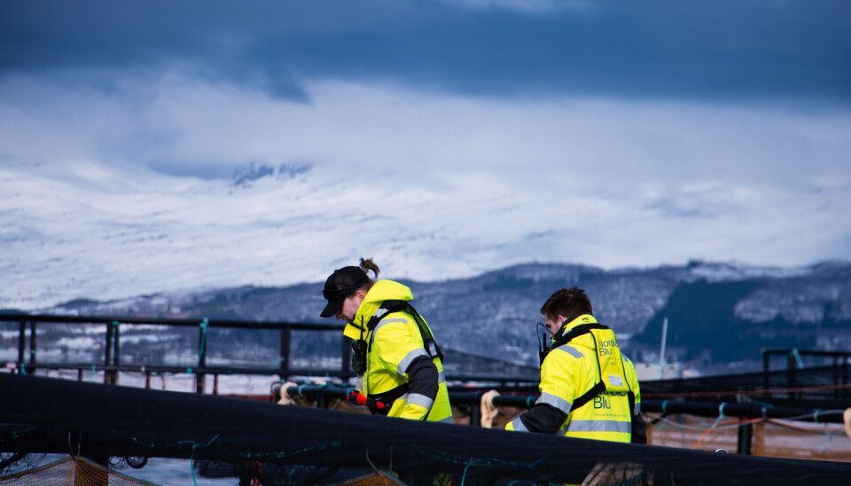 Når man har fokus på miljø er det selvsagt viktig at båtene man er avhengig av i drifta er så miljøvennlige som mulig. Derfor har både Wenberg og Edelfarm investert i hybridbåter som går på strøm mesteparten av tiden.