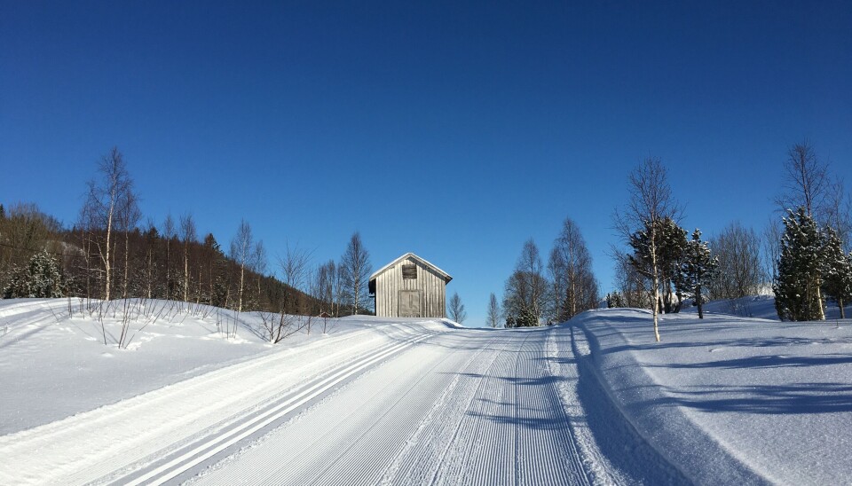 For å se om løypene i Seljeåsen ved Straumen er kjørt opp, kan du gå inn på nettsiden loyper.net.