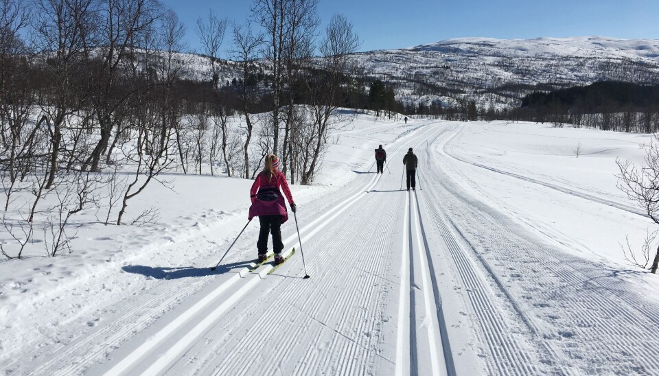 47 TURMÅL. Ti på topp vinter har 47 turmål, svært mange av dem i Indre Salten, men også noen i Bodø. I Valnesfjord som dette bildet er fra er det flere fine turmål og flotte løyper, og du finner turer også i Sulis-fjellet, Fauske, Sørfold og Beiarn.