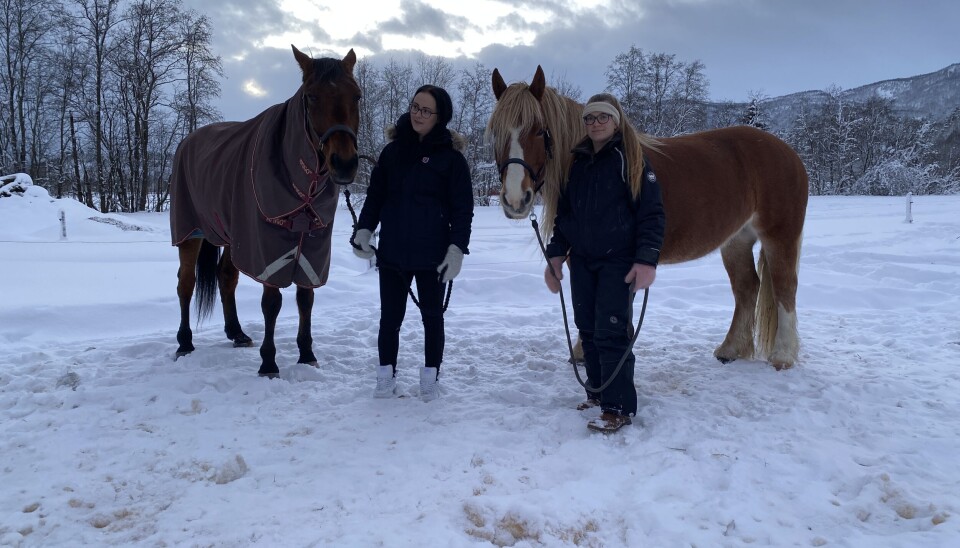 SKREMMENDE. Her lufter Silje Marie Brandt sin hest Lykkeliten, og Benedicte Kristensen med sin hest (t.v.), som bærer navnet Rookie SE.