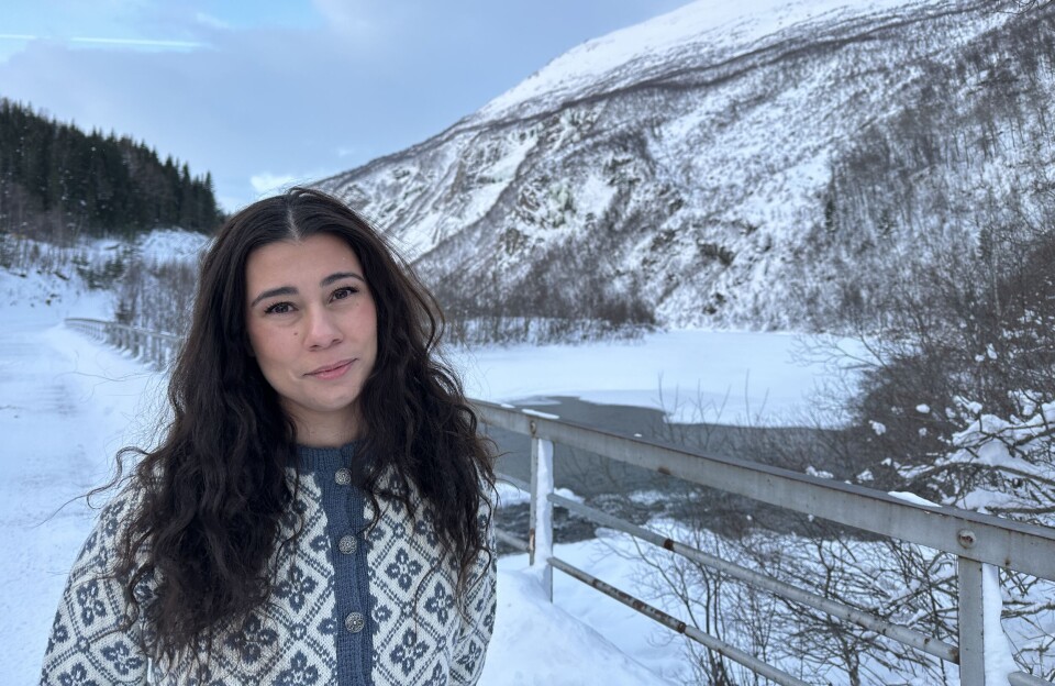 Risikabelt. - Veien inn og ut av bygda gikk gjennom Junkerdalsura, og var en meget risikabel rute hvor det uten forvarsel kunne komme ned ras. Det var påbegynt en alternativ rute da ulykke skjedde i 1955, men grunnet manglende finansiering ble ikke planene fullført før etter dødsulykka i januar, forteller oldebarnet til en av de omkomne, Elise Andersson.