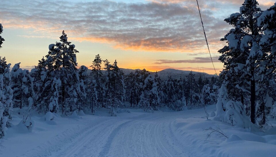 Saltenpostens turtips: Klungsetmarka