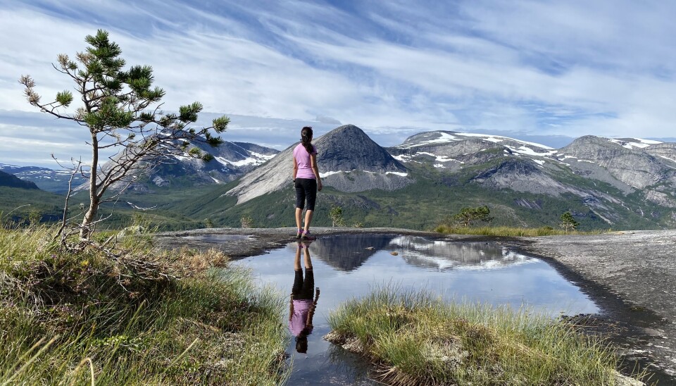 På Kollen ved Sildhopvatnet nord i Sørfold får man flott utsikt til fjell og fjord. Det er fint å vandre oppå det flate platået.