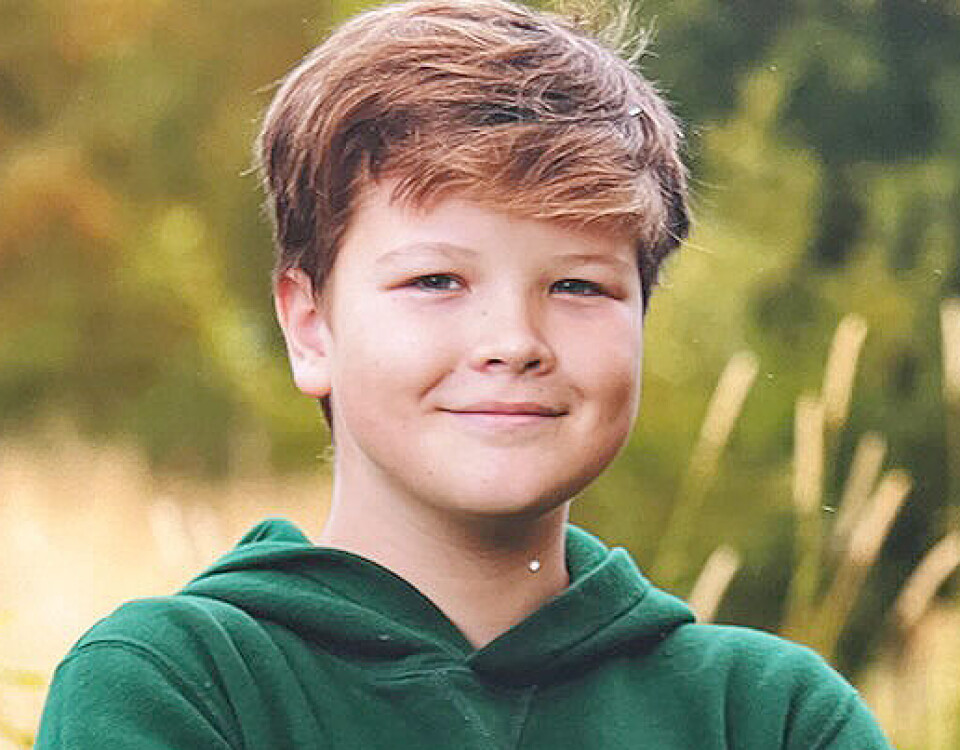 13 år