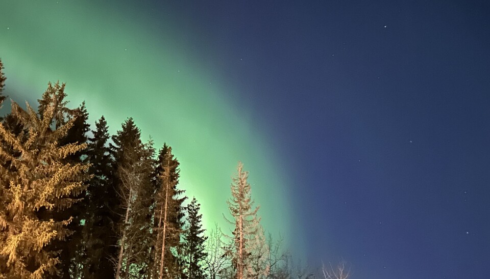 Vårjevndøgn. Det er ikke helt vår i nord enda. Vinteren står støtt med sine vakre farger. Men i dag er det vårjevndøgn, like fullt.