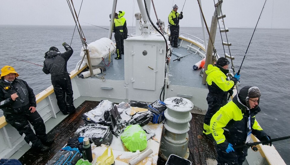 PRØVDE FISKELYKKEN. 'Bolga' har vært på skreifiske i Lofoten, der de hadde gjester ombord fra fjern og nær.