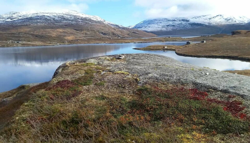 DORRO. Framme ved turmålet i Dorro i Sulitjelma er man ikke langt unna Norges høyeste grensefjell, Nord Saulo, som ligger rett øst for Stor-Dorrovatnet.