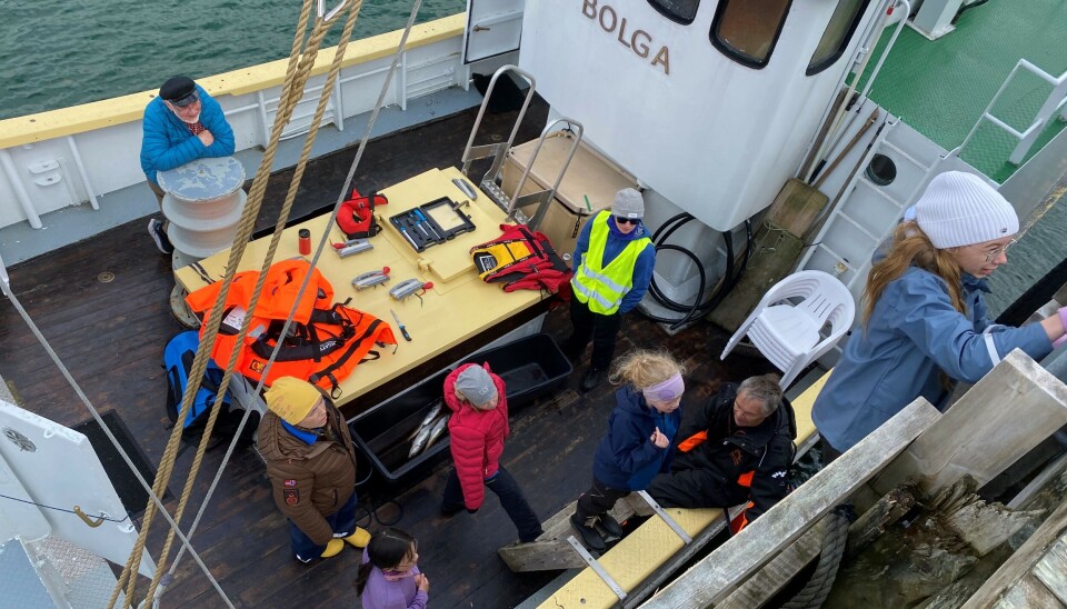 UT PÅ TUR. 4. klasse på Straumen skole var på tur med 'Bolga' tidligere denne uka. Ved kaia på Rørstad måtte de klatre opp en stige for å komme seg på land. Her er Anna Prodanova (10) først opp.