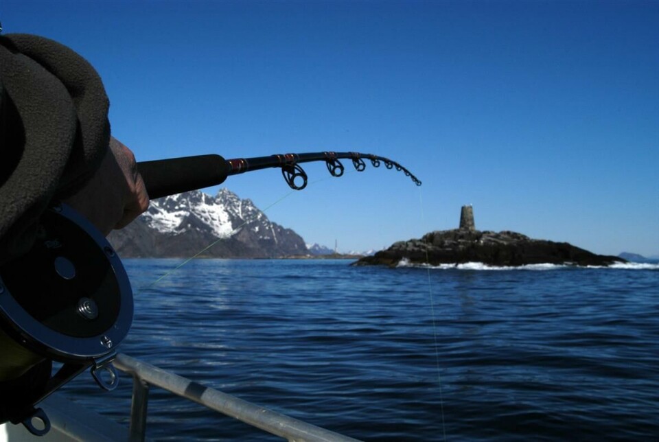 MULIGHETER. Ungdom i Nordland har muligheter til å tjene gode penger på fiske i sommer.