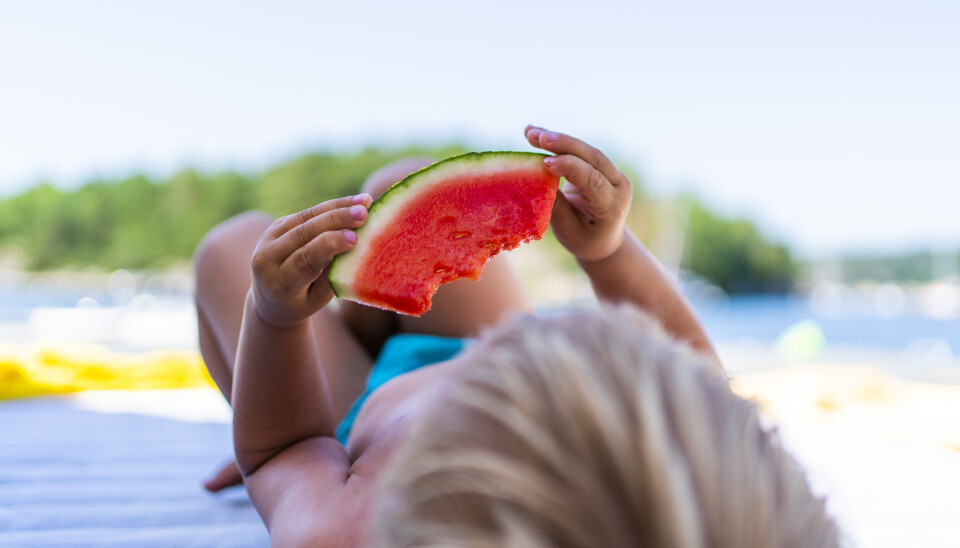 Slik velger du den søteste vannmelonen