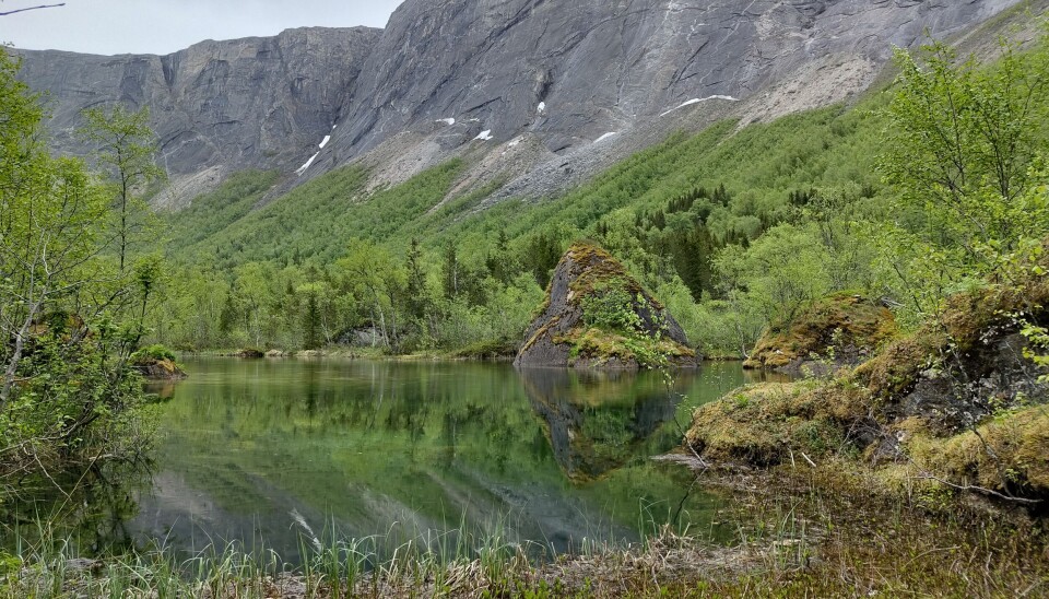 Turen til Soløyvatnet ved Moldjord i Beiarn er med på årets Beiarntrim, og er en enkel tur uten noe særlig stigning.