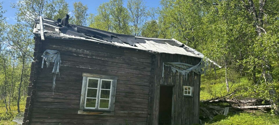 Nasjonalparkstyret orienteres om Jarbrufjell