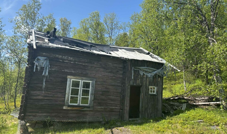 Nasjonalparkstyret orienteres om Jarbrufjell