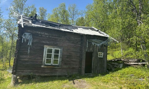 Orienteres om Jarbrufjell