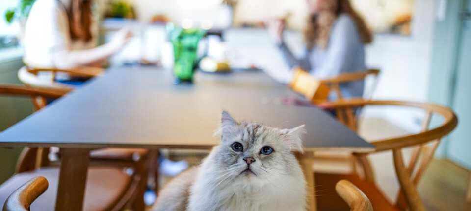 Stor folkehelseundersøkelse på vei