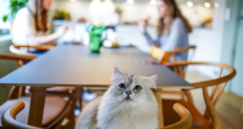 Stor folkehelse-undersøkelse på vei