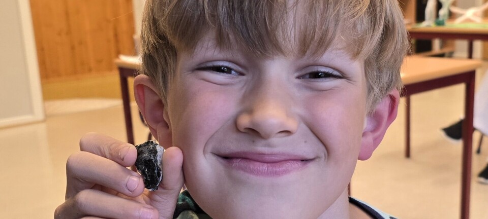 Peter (8) har funnet gull