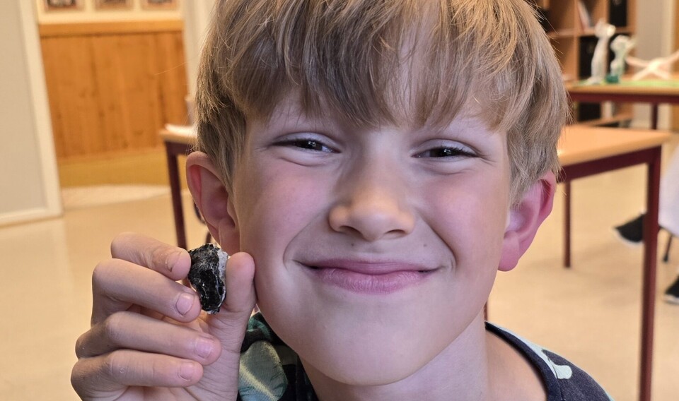 Peter (8) har funnet gull