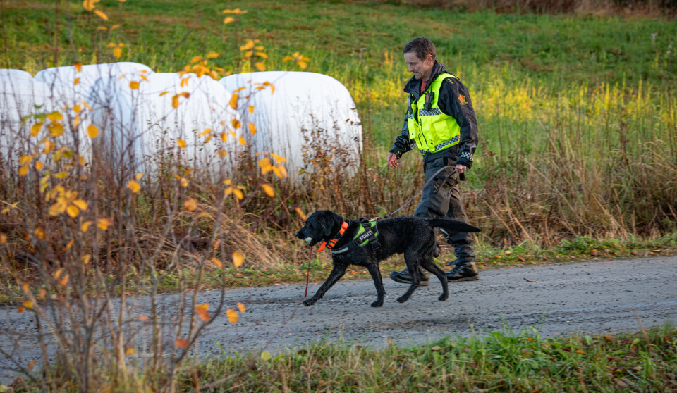Tragisk funn etter stor leteaksjon i Fauske Politihunden som var med på søket etter den savnede kvinnen i Holtanlia. Hun ble funnet omkommet.