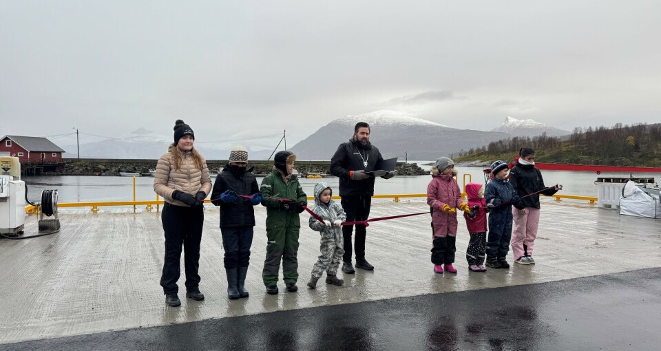 - Helt fantastisk og veldig bra