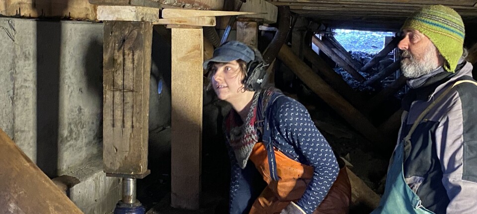 Berger brygga fra forfallet