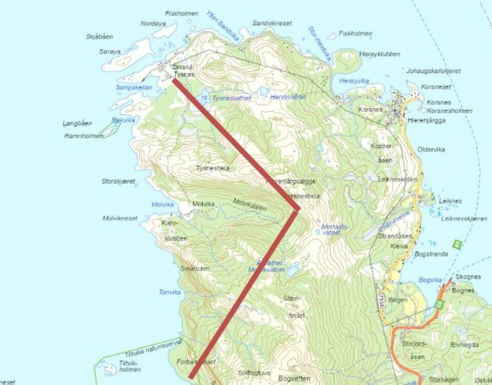 FUNNET. I dette området ble den savnede Stian Hole funnet.