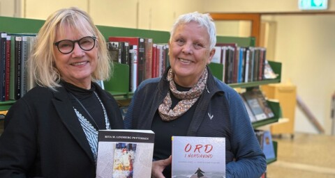 Dobbelt bokslipp på Fauske bibliotek