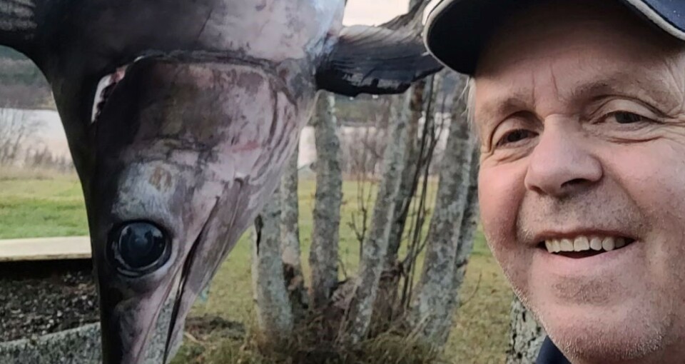 - Jeg trodde først at det var ei bordfjøl