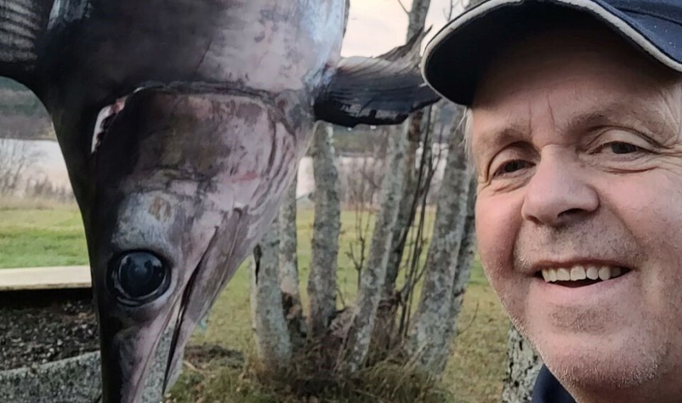 - Jeg trodde først at det var ei bordfjøl