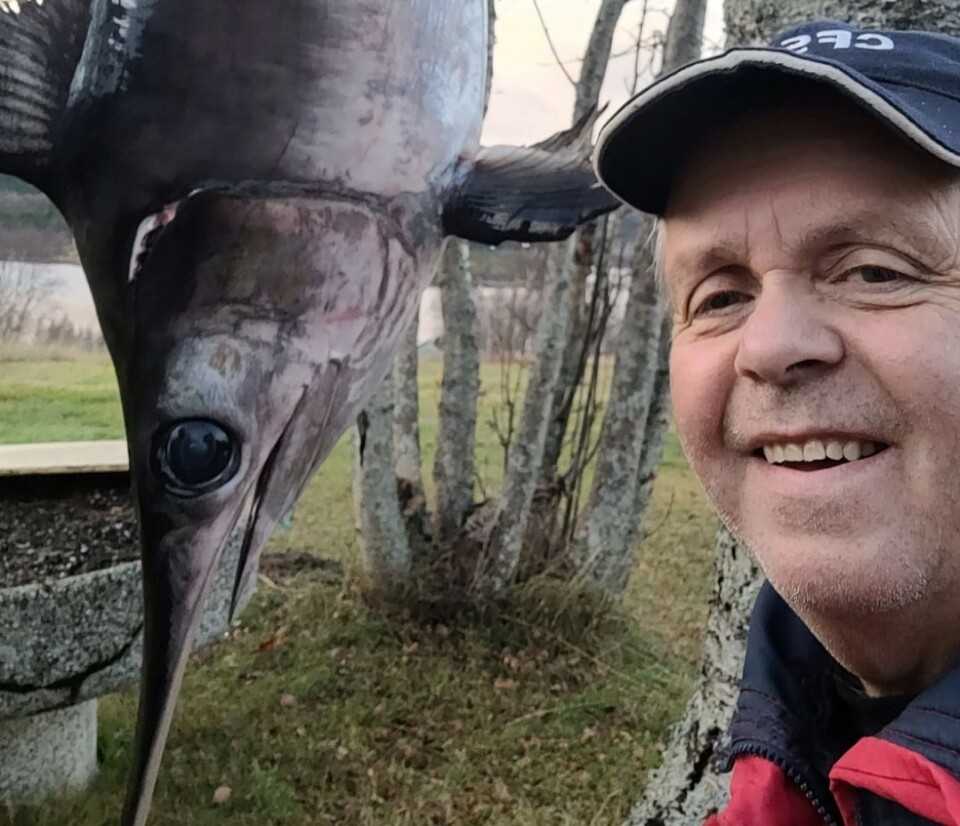 SPESIELL FANGST. Erling Wollik fikk en sverdfisk i sildegarnet sitt. Den veide cirka 35 kilo og var 230 centimeter lang.