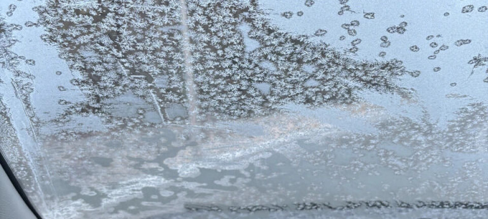 Denne utsikten kostet sjåføren lappen