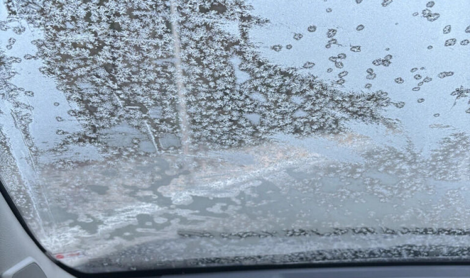 Denne utsikten kostet sjåføren lappen