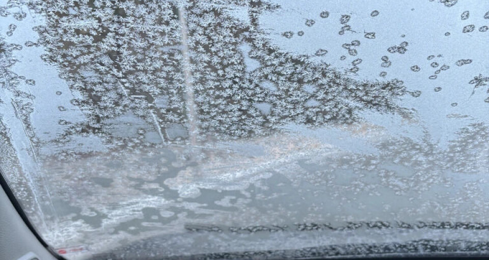 Denne utsikten kostet sjåføren lappen lørdag morgen