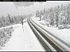 Snødekt E6 med to kjørefelt, skog langs veien og tett snøvær.
