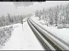 Snødekt E6 med to kjørefelt, skog langs veien og tett snøvær.